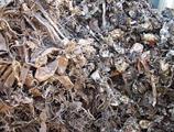 scrap brass recycling in Wembley